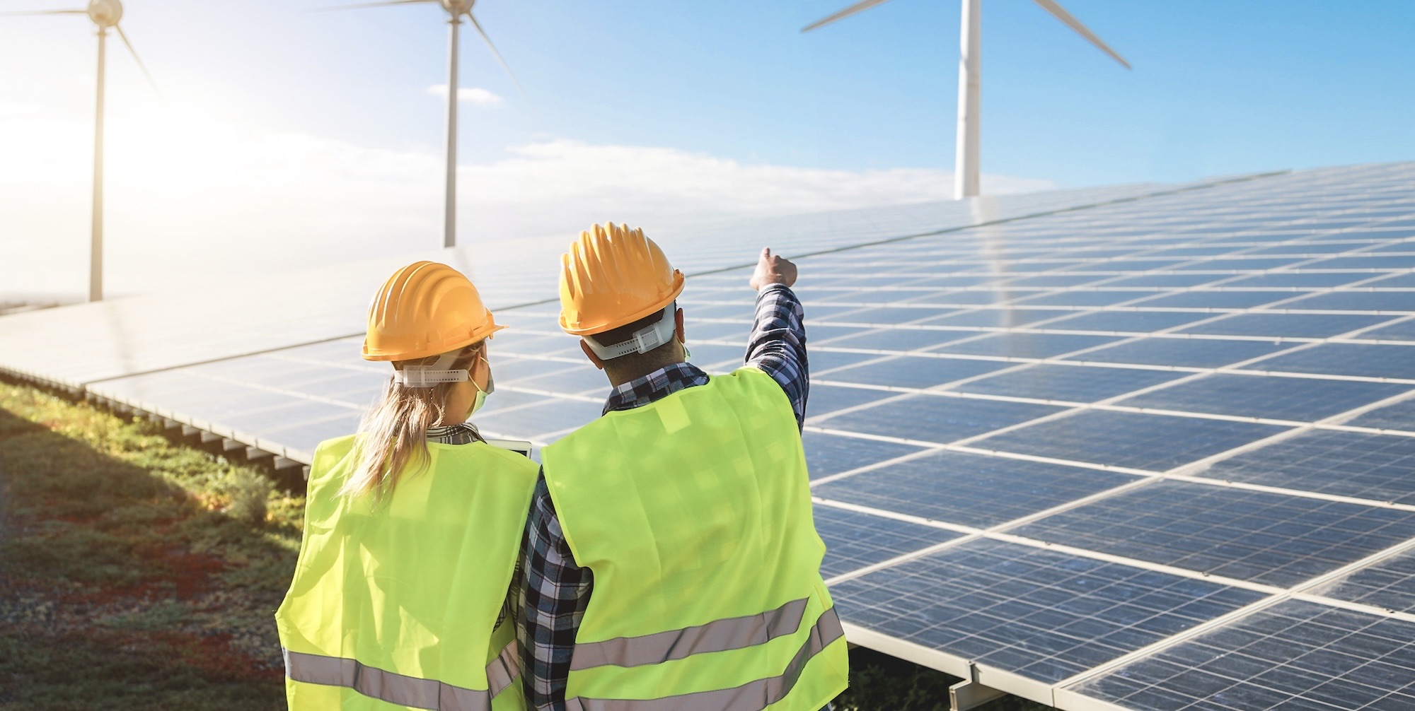 Sustainability: inclusion and innovation | Mascherpa