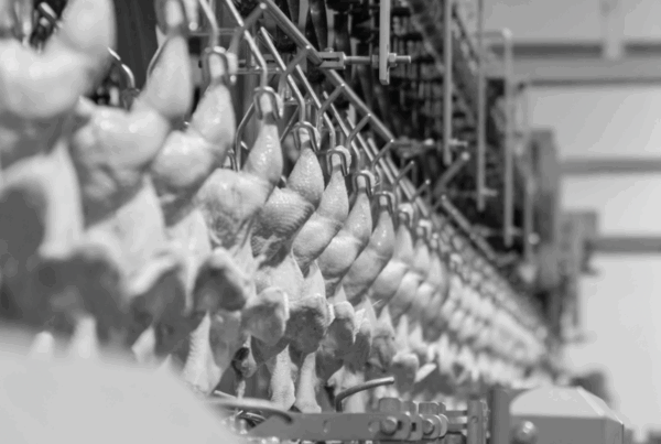 Lubrificanti industria alimentare della carne e del pollame