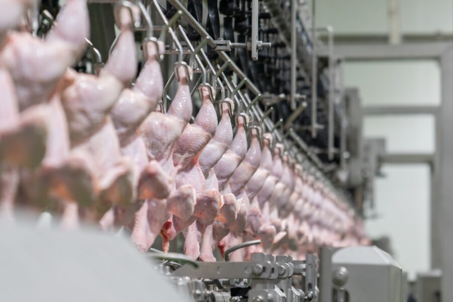Lubrificanti industria alimentare della carne e del pollame
