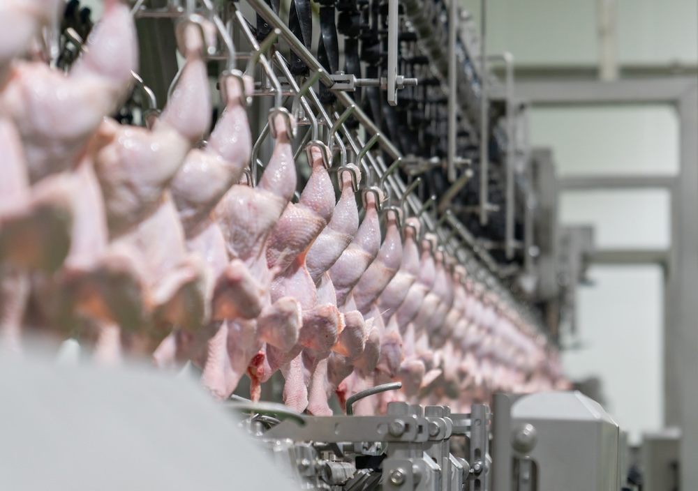 Lubrificanti industria alimentare della carne e del pollame