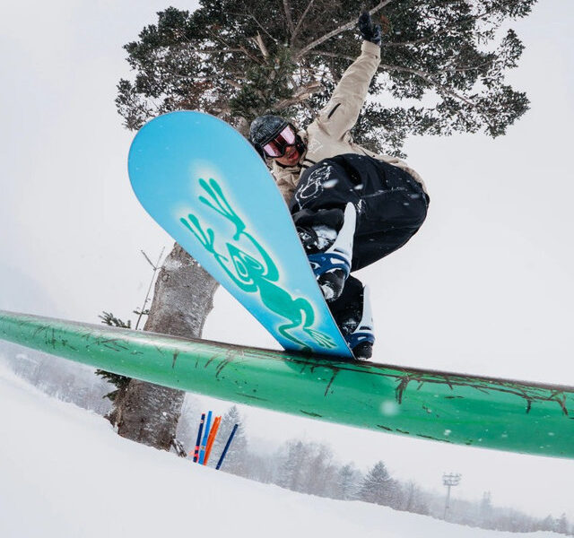 Compositi per la laminazione degli sci e snowboard Blossom