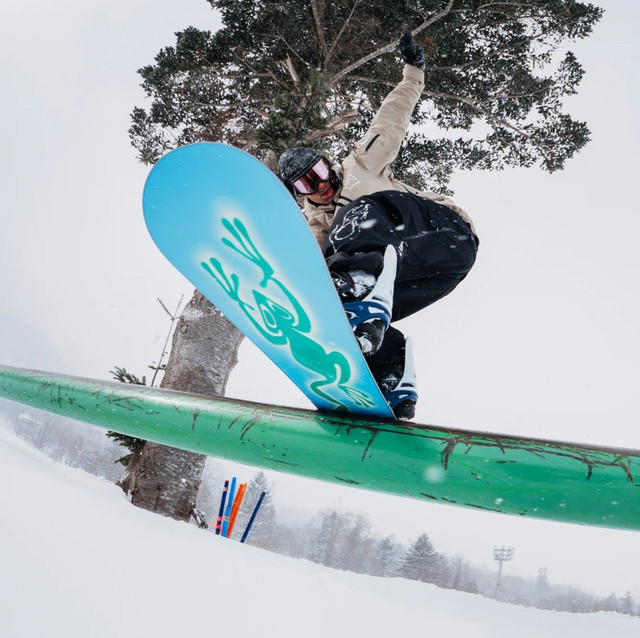 Compositi per la laminazione degli sci e snowboard Blossom